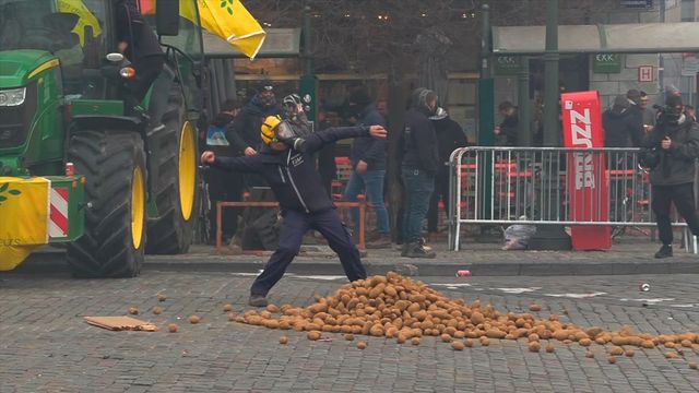 Scontri a Bruxelles alla protesta dei trattori, la polizia usa lacrimogeni