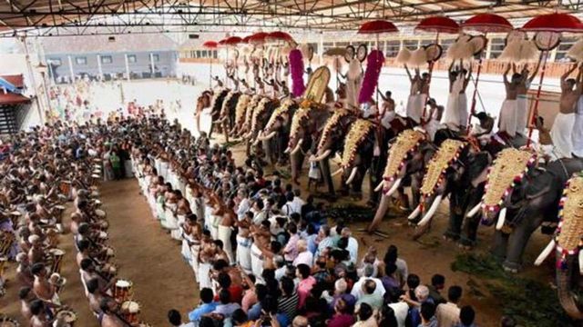 Top Court Stays Kerala High Court Order On Elephants In Temple Festivals