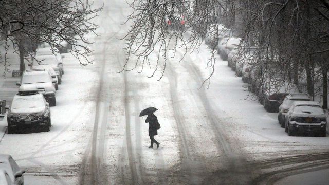 Голяма зимна буря причини смъртта на най-малко 30 души в САЩ