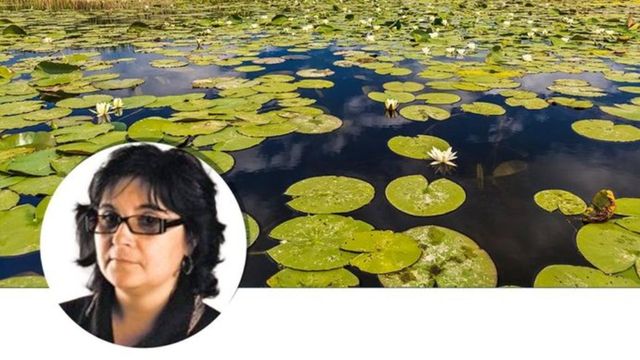 USR Plus a propus-o pe Atena-Adriana Groza ca guvernator al Biosferei Delta Dunarii