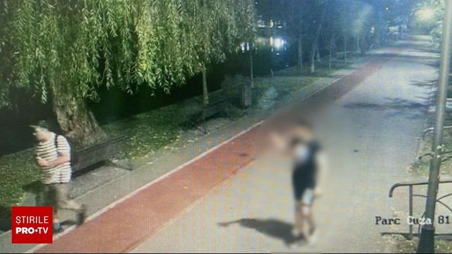 Un bărbat a fost arestat preventiv după ce a provocat un incendiu în Parcul IOR din București