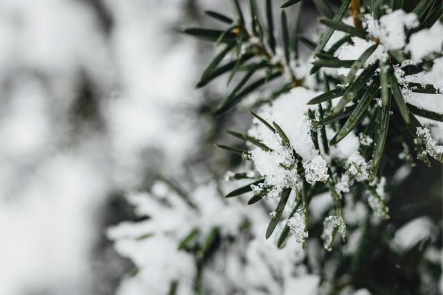 Temperature giù di 10 gradi, colpo di coda dell'inverno sull'Italia