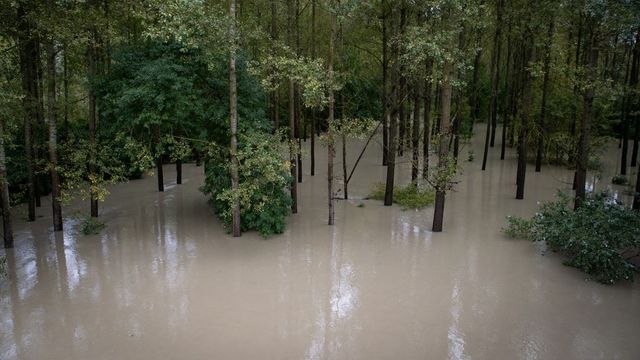 Hamarosan megérkezik az árvíz a Szigetközbe