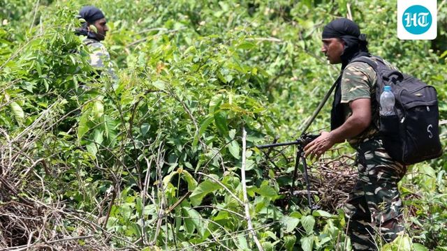 12 Maoists, 3 DRG Jawans Killed in Bijapur Encounter