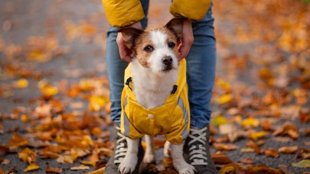 Времето утре - 18 декември 2025 г.
