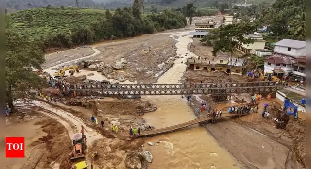 Centre Declares Wayanad Landslides 'Severe Nature' Disaster, Announces Aid Process