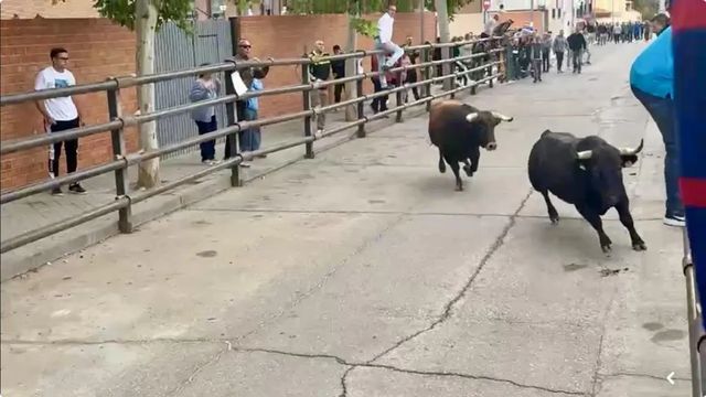 Un muerto en un pueblo de Toledo al escaparse un toro en un encierro