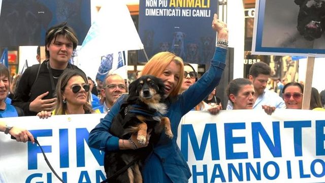 False fatture per il programma tv 'Dalla parte degli animali', Michela Vittoria Brambilla indagata