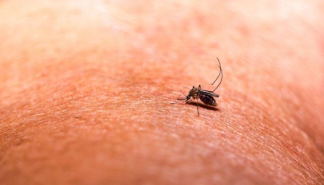 Trei cazuri suspecte de malarie la copii, în Romania