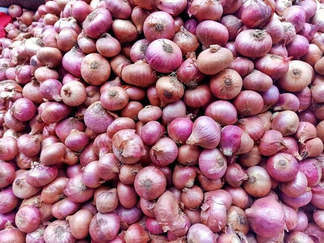 Centre To Begin Onion Sale At This Rate In Delhi From Thursday