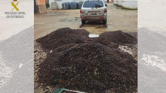 El Gobierno acelera un paquete de medidas para contener el golpe energético de la guerra