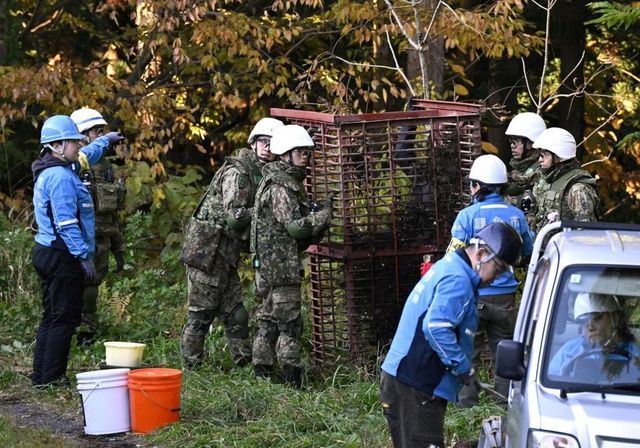 Japón despliega al Ejército para contener una oleada de ataques de osos que ha matado a 12 personas