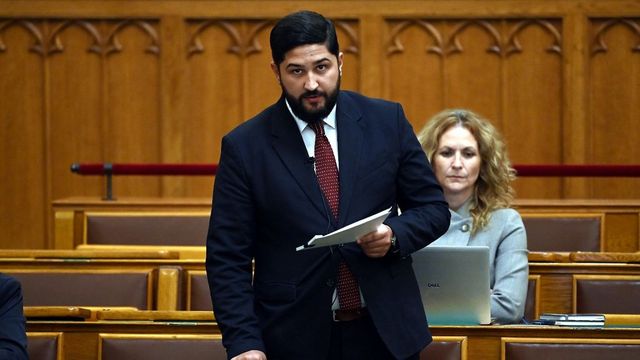 Radics Béla alapítványa fizetett is, meg nem is