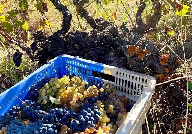 El nuevo arancel global de EE UU del 15% impactará más en las pymes españolas