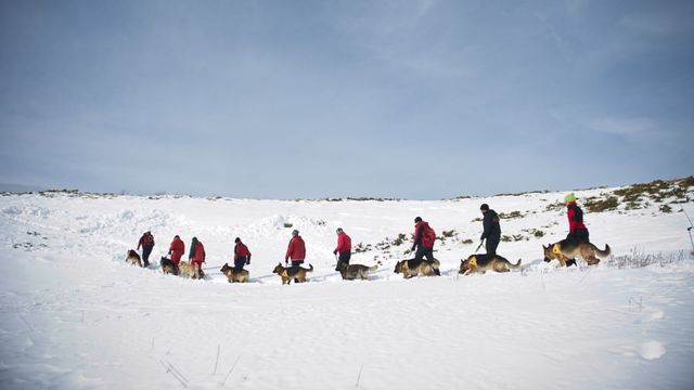 Туристът, паднал под връх Вихрен, е загинал