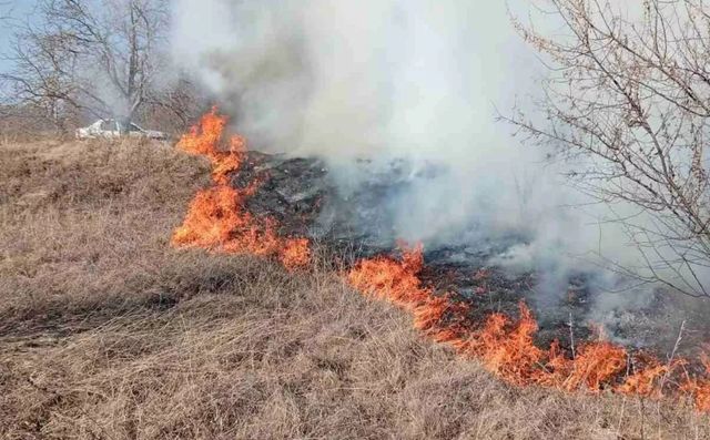 Peste 180 hectare de teren au fost compromise de incendii în ultimele 24 de ore