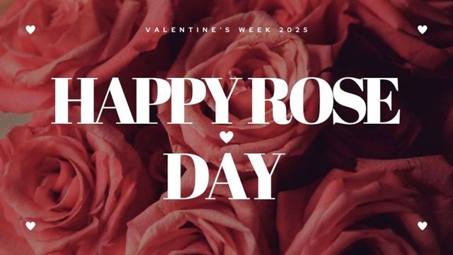 Rose Day 2025: Date, Significance and Wishes To Share With Your Loved Ones