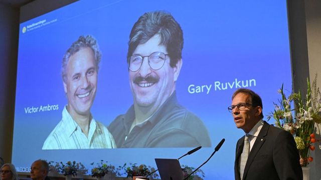 Nobel Prize 2024 For Medicine Goes To Victor Ambros And Gary Ruvkun Discovery Of Microrna