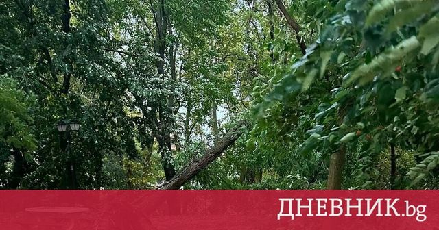 Буря причини щети в Петрич