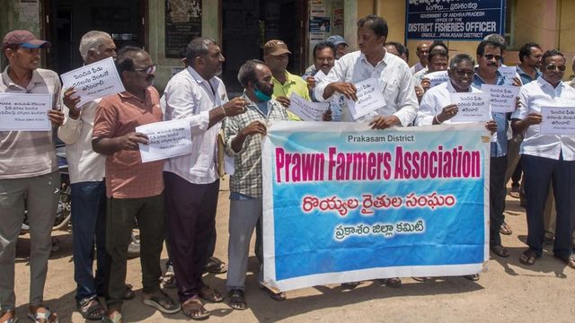 Aqua farmers protest shrimp feed price hike in Ongole