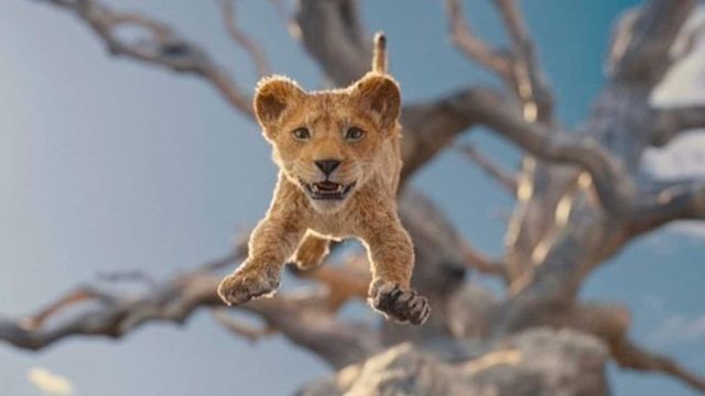 Mufasa The Lion King Trailer: Disney Prequel Follows Young Mufasa’s Journey
