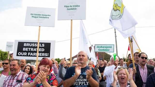 Kyjev podal kvůli obilí stížnost na Slovensko, Polsko a Maďarsko, chystá i odvetná opatření