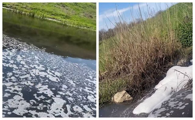 Scurgeri suspecte în râul Răut, la Pohorniceni: inspectorii de mediu investighează cazul