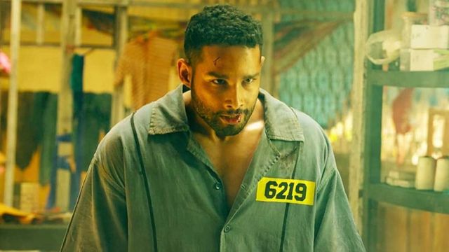 Review: Siddhant Chaturvedi's Yudhra Is Relentlessly Violent