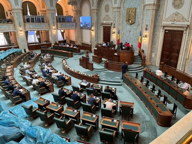 Senatul a votat legea pentru prevenirea violenței domestice