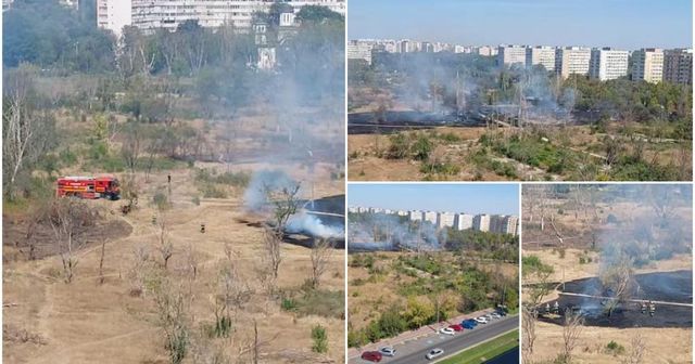 Incendiu puternic în parcul IOR din Capitală