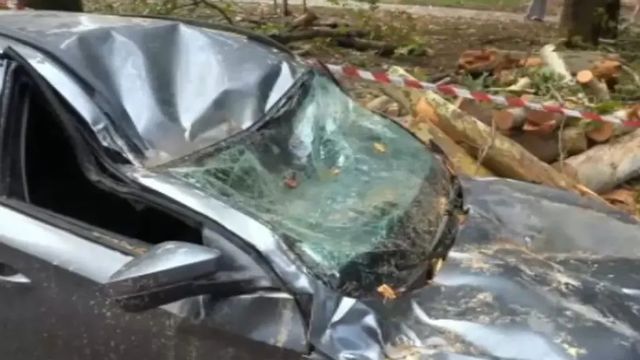 Il maltempo sferza il Centro-Nord, allagamenti e alberi abbattuti