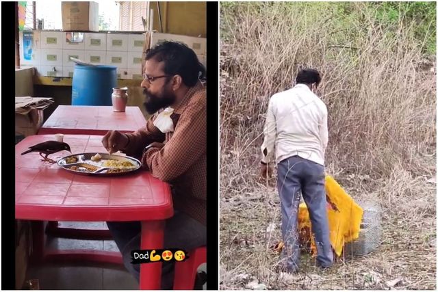 Viral Video of Man and Bird Eating from Same Plate is Filling Internet with Hope