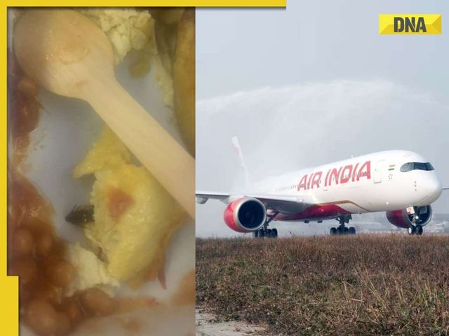 Passenger Finds Cockroach In Omelette Served In New York-Bound Air India Flight, Airline Responds