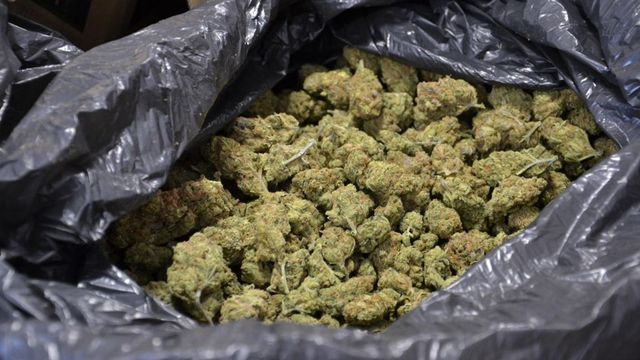 Заловиха над 700 кг марихуана за над 6 млн. евро