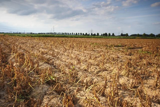 Continentele Pământului pierd apă dulce într-un ritm alarmant