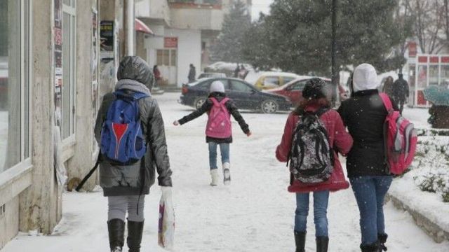 MEC recomandă lecții online, din cauza poleiului și ghețușului