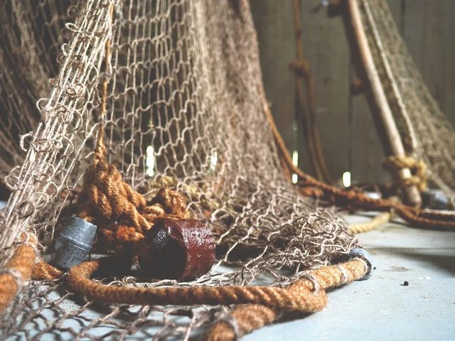 Parlamentul a ratificat Acordul privind combaterea pescuitului ilegal