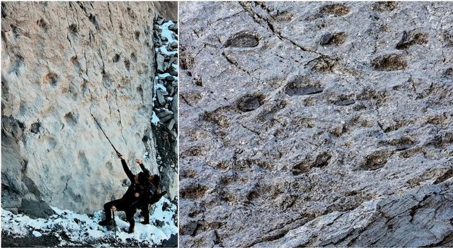 Scoperte migliaia di orme di dinosauri nel Parco dello Stelvio