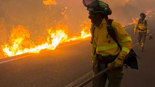 Spagna, 12 morti in incendio boschivo in Andalusia