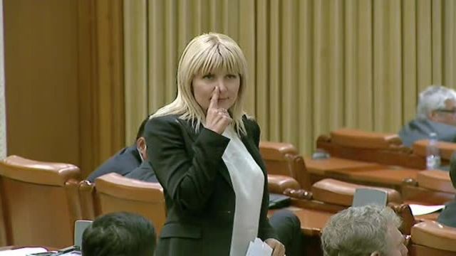 Elena Udrea contestă pedeapsa în dosarul Gala Bute