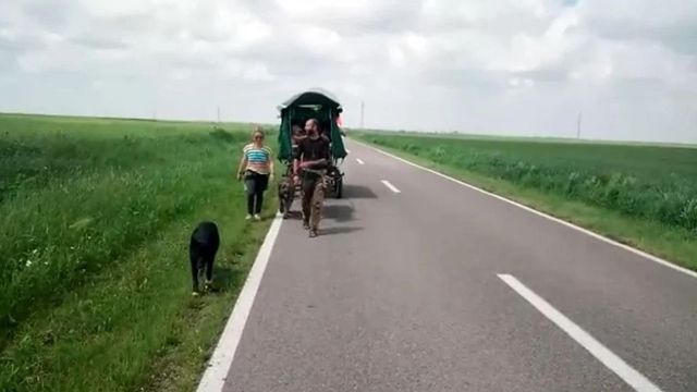 O familie din Franța a ajuns în România cu o căruță trasă de măgar, după doi ani de la începutul unei călătorii către Palestina