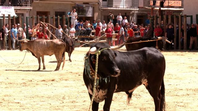 Muere el ganadero Santiago Barrero corneado por un toro en Jaén
