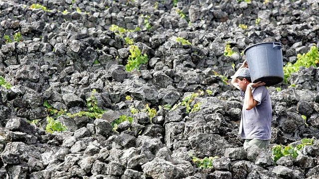 El cambio climático entra en el convenio colectivo