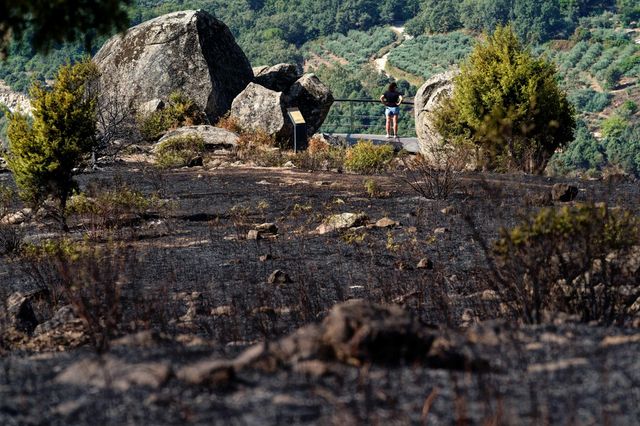 El 95% de los incendios forestales que asolan España los causa la mano del hombre