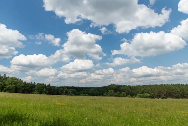 Săptămâna începe cu vreme caldă și maxime de până la 31 de grade. Ce temperaturi sunt prognozate în următoarele zile