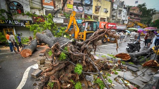 Tree uprooted in Kalkaji, crushes bike and car amid heavy rain in Delhi