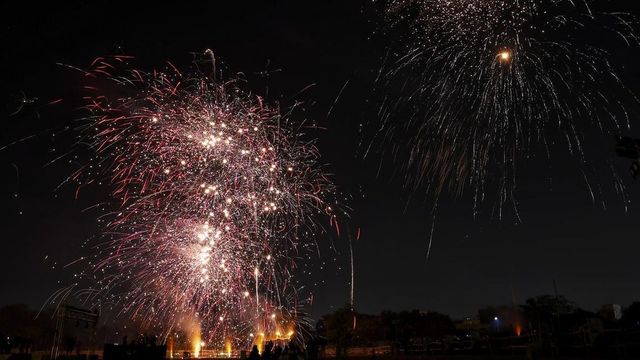 Fireworks injure Italian envoy's wife, Goa resort owner booked