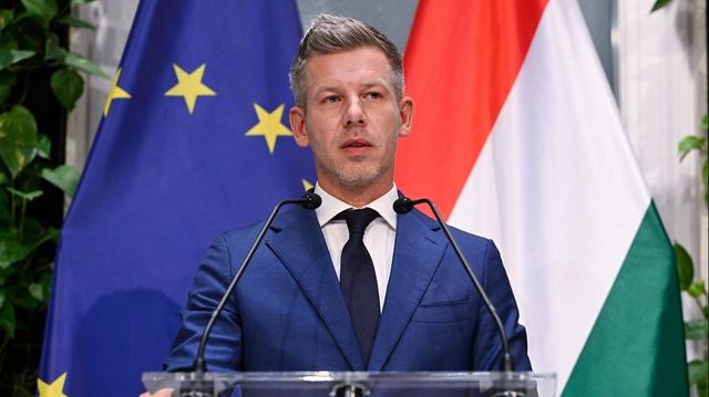 Kegyelmi ügy: a Vidéki prókátor bírálja Magyar Pétert
