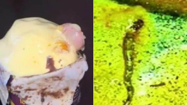 Human Finger Found In Ice Cream, Food Authority Suspends Makers License