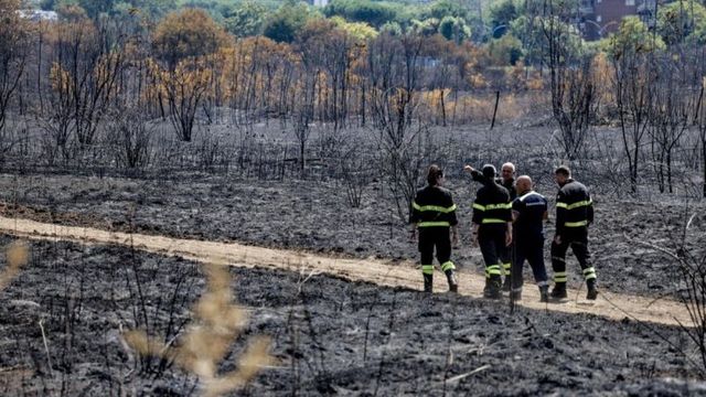 Италианските власти евакуираха хиляди заради горски пожар в Тоскана